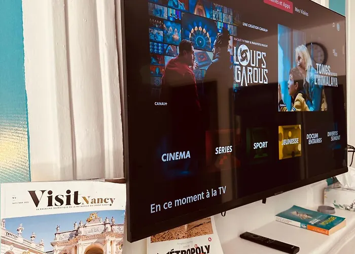 Grand T1 Confort Avec Tv Netflix - Canal Série - Apple Tv - Ocs - Dazen - Bein Sport - Prime Vidéo * Nancy